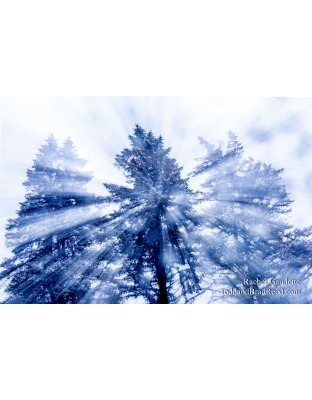 Rachel's Day 40 of 366 - February 9, 2020