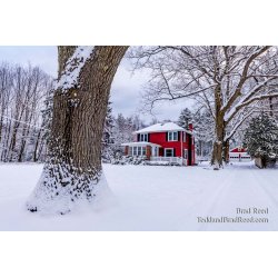 Brad Reed\'s Day 41 of 366