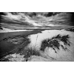Brad Reed\'s Day 42 of 366
