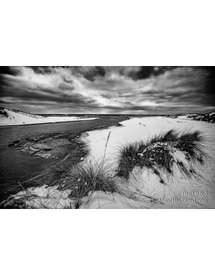 Brad Reed's Day 42 of 366