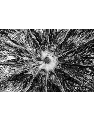 Rachel's Day 43 of 366 - February 12, 2020