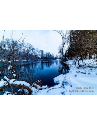 Rachel's Day 44 of 366 - February 13, 2020