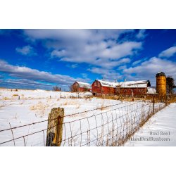 Brad Reed\'s Day 45 of 366