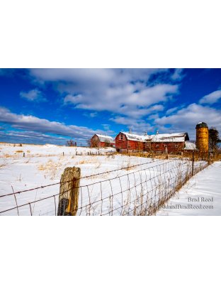 Brad Reed's Day 45 of 366