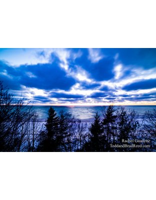 Rachel's Day 45 of 366 - February 14, 2020