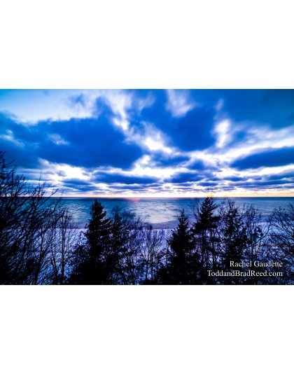 Rachel's Day 45 of 366 - February 14, 2020