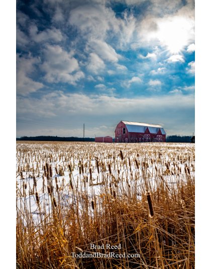 Brad Reed's Day 47 of 366