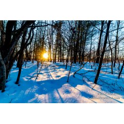 Rachel\'s Day 47 of 366 - February 16, 2020