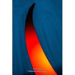 Brad Reed\'s Day 48 of 365