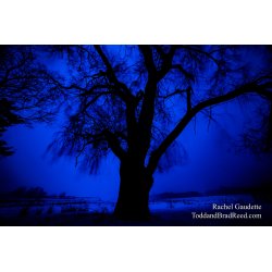 Rachel\'s Day 48 of 366 - February 17, 2020