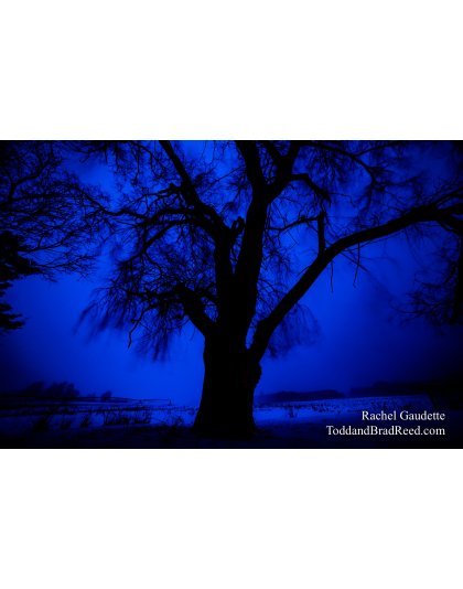 Rachel's Day 48 of 366 - February 17, 2020