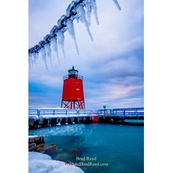 Brad Reed\'s Day 49 of 366