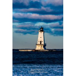 Rachel\'s Day 50 of 366 - February 19, 2020