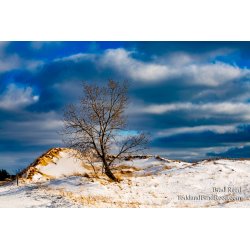 Brad Reed\'s Day 51 of 366