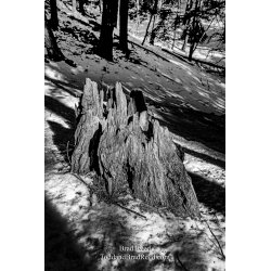 Brad Reed\'s Day 53 of 366