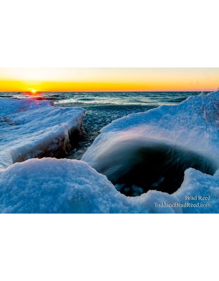 Brad Reed's Day 54 of 366