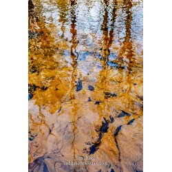Brad Reed\'s Day 57 of 366