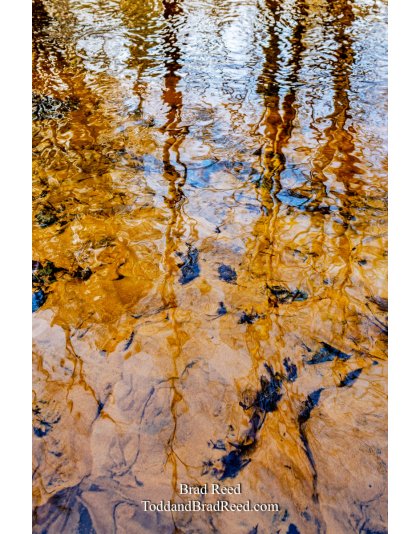 Brad Reed's Day 57 of 366