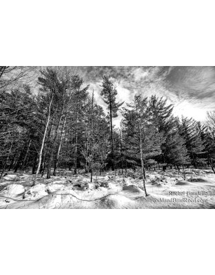 Rachel's Day 57 of 366 - February 26, 2020