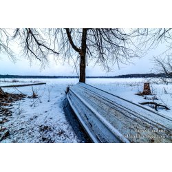Rachel\'s Day 58 of 366 - February 27, 2020