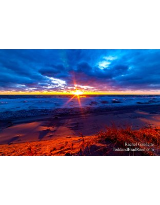 Rachel's Day 59 of 366 - February 28, 2020