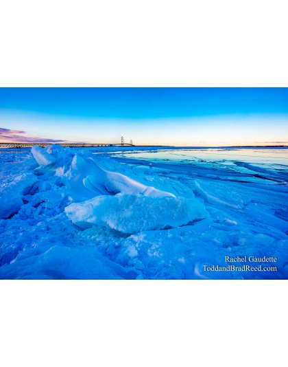 Rachel's Day 60 of 366 - February 29, 2020