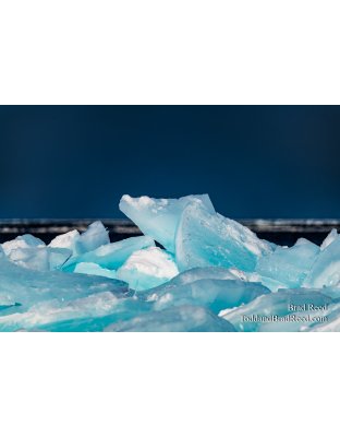 Brad Reed's Day 61 of 366