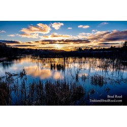 Brad Reed\'s Day 66 of 366
