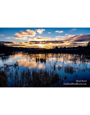 Brad Reed's Day 66 of 366