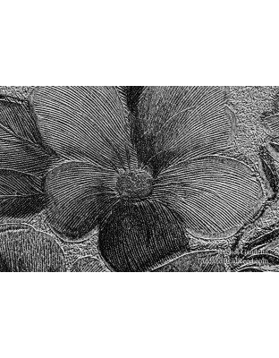 Rachel's Day 66 of 366 - March 6, 2020