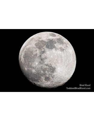 Brad Reed's Day 67 of 366