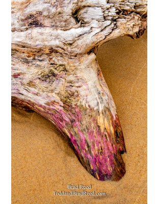 Brad Reed's Day 72 of 366