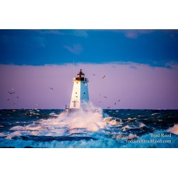 Brad Reed\'s Day 73 of 366
