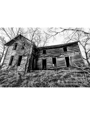 Rachel's Day 75 of 366 - March 15, 2020