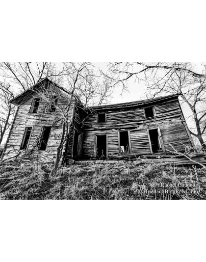 Rachel's Day 75 of 366 - March 15, 2020