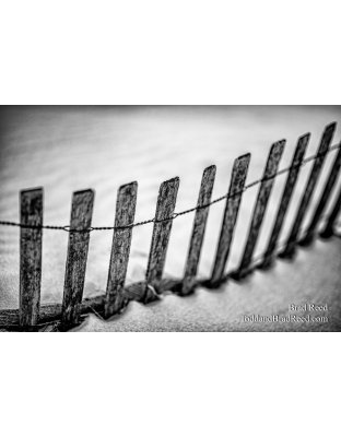 Brad Reed's Day 76 of 366