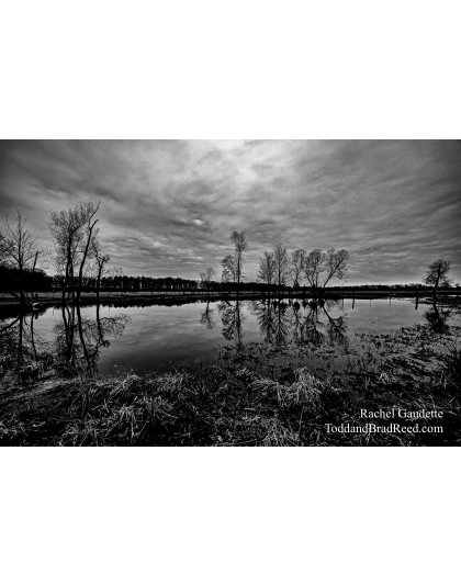 Rachel's Day 78 of 366 - March 18, 2020