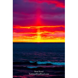 Brad Reed\'s Day 80 of 366