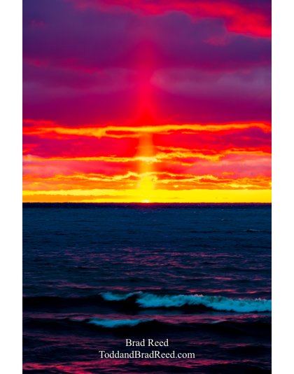 Brad Reed's Day 80 of 366