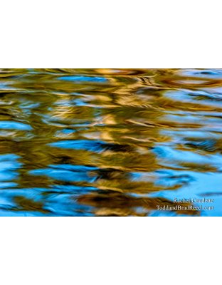 Rachel's Day 81 of 366 - March 21, 2020