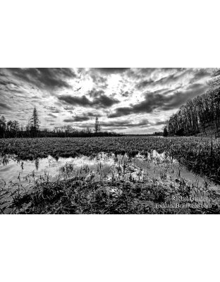 Rachel's Day 83 of 366 - March 23, 2020