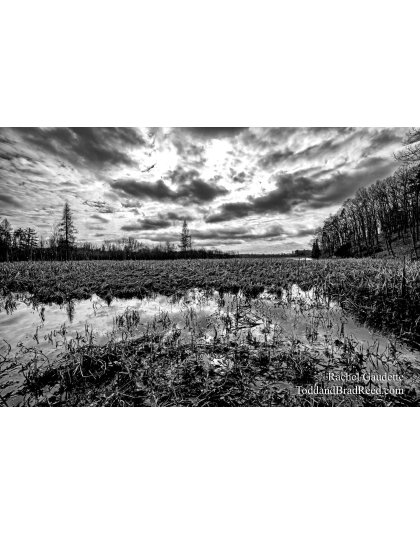 Rachel's Day 83 of 366 - March 23, 2020