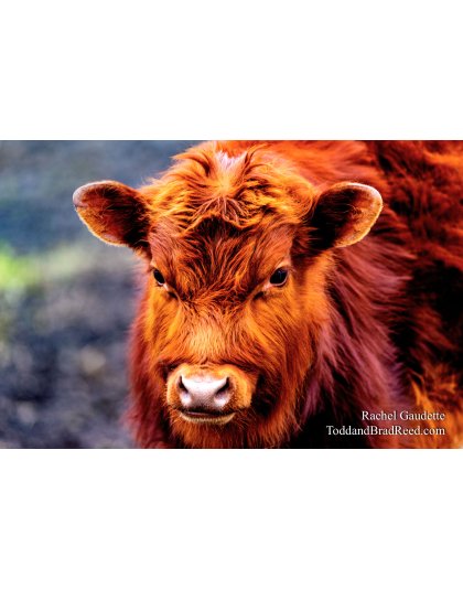 Rachel's Day 84 of 366 - March 24, 2020