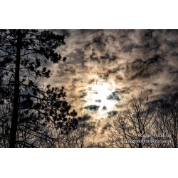 Rachel\'s Day 86 of 366 - March 26, 2020