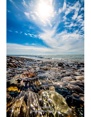 Brad Reed's Day 87 of 366