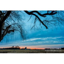 Rachel\'s Day 87 of 366 - March 27, 2020