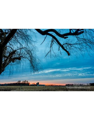 Rachel's Day 87 of 366 - March 27, 2020