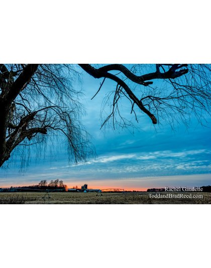 Rachel's Day 87 of 366 - March 27, 2020