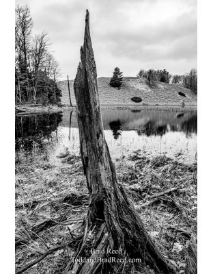 Brad Reed's Day 88 of 366