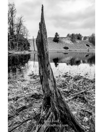 Brad Reed's Day 88 of 366